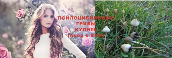 дживик Алексеевка