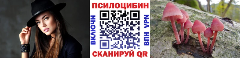 Галлюциногенные грибы Magic Shrooms  Чапаевск 