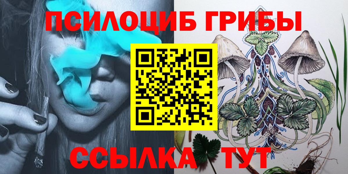 Псилоцибиновые грибы GOLDEN TEACHER Чапаевск