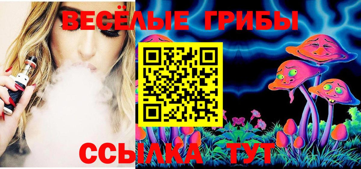Чапаевск  Галлюциногенные грибы ЛСД  Галлюциногенные грибы Psilocybine cubensis  Вход с VPN 